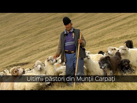 Ultimii păstori din Munții Carpați