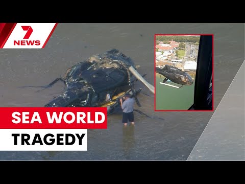 New video of Sea World helicopter disaster released at inquest into Gold Coast tragedy | 7NEWS