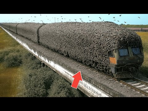 75 of Nature's Most Incredible Moments Captured on Camera!