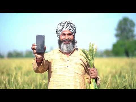 Democratizing AI: How Open-Source Models Are Breaking Big Tech’s Monopoly