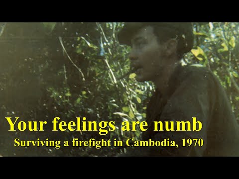 Your Feelings Are Numb: Surviving a Firefight in Cambodia, 1970