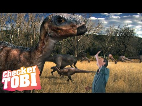 Der Zeit-Check | Reportage für Kinder | Checker Tobi