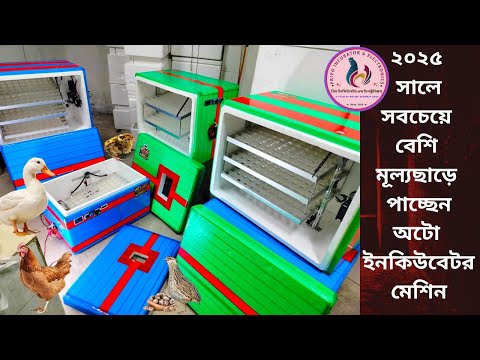 সর্বনিম্ন দামে কিনুন কর্কশিট বডির অটো ইনকিউবেটর মেশিন | auto incubator at low price in bangladesh