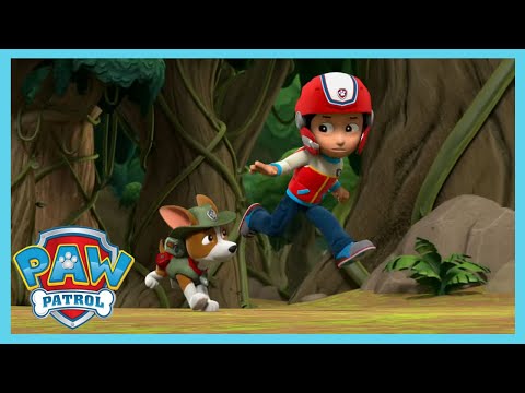Into the Jungle - Paw Patrol | Shows for Kids | WildBrain Wheels
