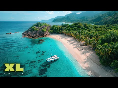 Juwelen im Atlantik: Das größte Naturwunder der Welt? 🌊