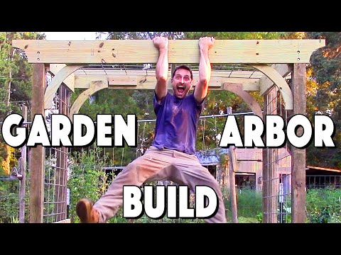 Garden Arbor Trellis Build For Our Grapes And Kiwi
