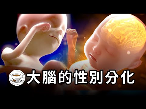 如果物質決定意識，為什麼會有跨性別者？性別認同、性取向，究竟是怎麼產生的？