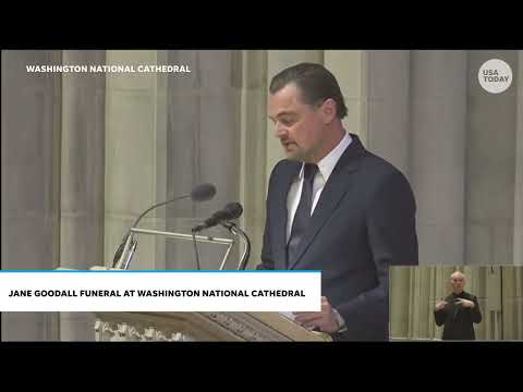 Leonardo DiCaprio speech at Jane Goodall funeral pays tribute to 'a true hero to the planet'