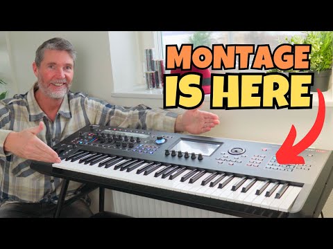 Exploring MONTAGE - Overview and First Impressions