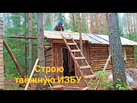 Building a Taiga Hut. From the first log to the housewarming. DIY.
