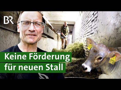 Neuer Laufstall für mehr Tierwohl: Darum bekommt Allgäuer Landwirt keine Förderung | Unser Land | BR
