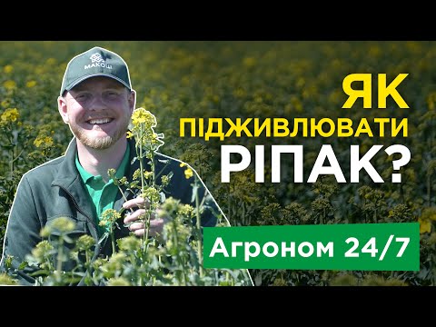 Як підживлювати ріпак? Навіщо вносити Бор по ріпаку? Добрива. Агроном 24/7