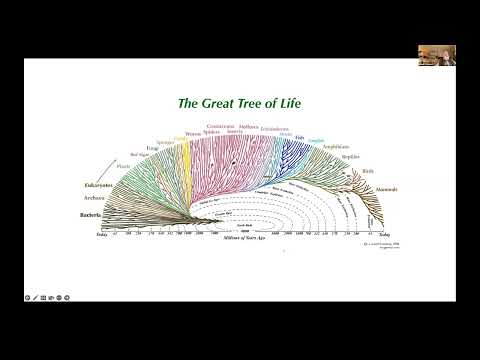 Dan Dennett: The Evolution of Understanding on Several Levels