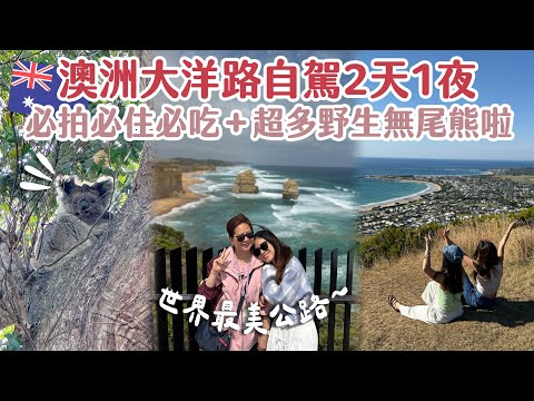 🇦🇺澳洲大洋路世界最美公路！2天1夜自駕全紀錄🗒️ 超多野生無尾熊🐨必吃必住必停景點～ | Hoiching愷晴