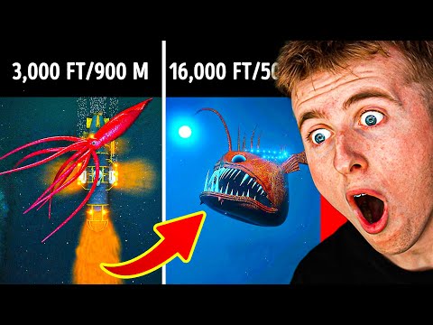 3D Journey to the Ocean DEPTHS!