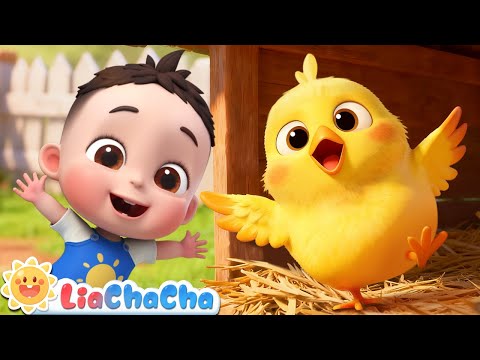 Baby and Little Chicks 🐤| EP211 | Farm Animals Song | Nursery Rhymes & Kids Songs | LiaChaCha