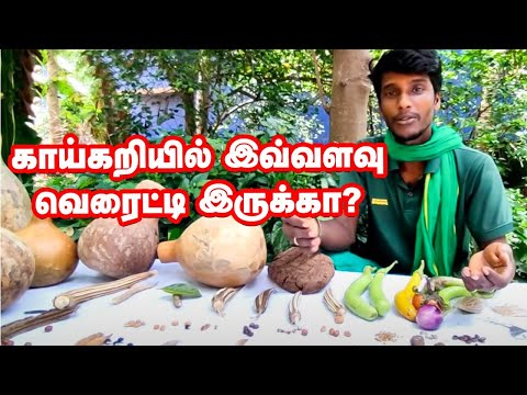 "கத்திரிக்காயில் மட்டும் 4,000 வகைகளா!?"ஆச்சர்யமூட்டும் Pondicherry இளைஞர்! | Seeds