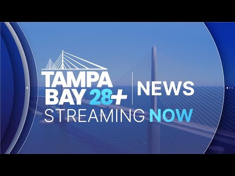 LIVE | Tampa Bay 28+ News - Friday,  Nov. 14