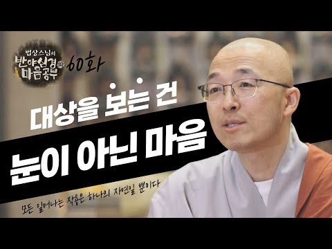 모든 작용은 하나의 자연일 뿐, 대상은 눈이 아닌 마음으로 보는 것이다 - [법상스님의 반야심경과 마음공부 60회]
