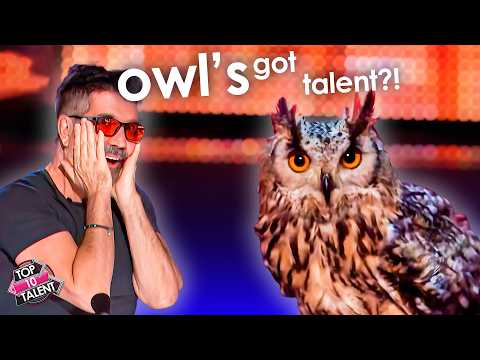 These Auditions Were NOT Human… 😳🦜