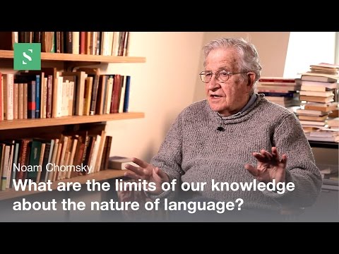 Language Design - Noam Chomsky / Serious Science