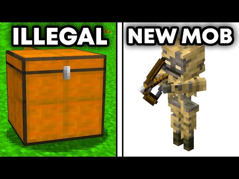 640 Minecraft Facts in 1.22!