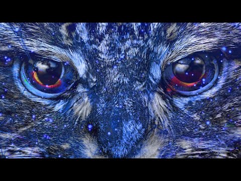 The Animistic Divine