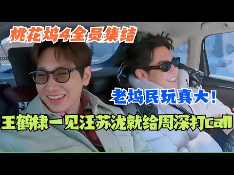 王鹤棣当着汪苏泷面给周深打call！你们坞民一见面就玩大的是吧！#综艺 #五十公里桃花坞s4 #dylanwang #李雪琴 #周深
