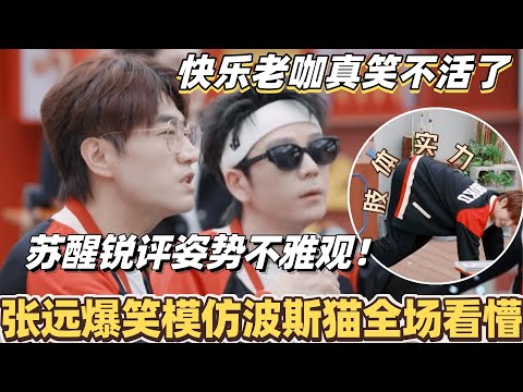 张远爆笑模仿波斯猫全场看懵！苏醒锐评姿势不雅观？这个快乐老咖给我笑不活了！#综艺 #音乐 #披荆斩棘 #0713 #苏醒 #张远 #王栎鑫 #王铮亮 #披荆斩棘2025
