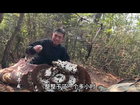 屡破记录挖到年度超强群，四爷不幸被“狙”，子威坚持到最后一颗