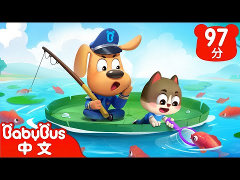 【新劇集】貓小弟釣魚 | 不要獨自釣魚 | 車車 | 動畫 | Kids Cartoon | 安全教育 | 安全警長啦咘啦哆 | 寶寶巴士 BabyBus