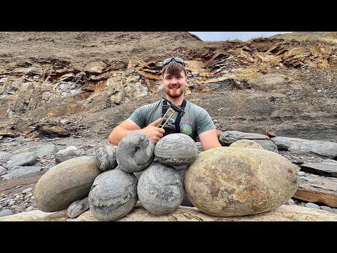 These Giant Stones Were Sealed for 185 Million Years – Here’s What We Found Whilst Fossil Hunting!