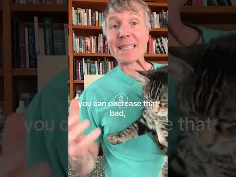 Amino Acid Pet Halitosis Remedy!