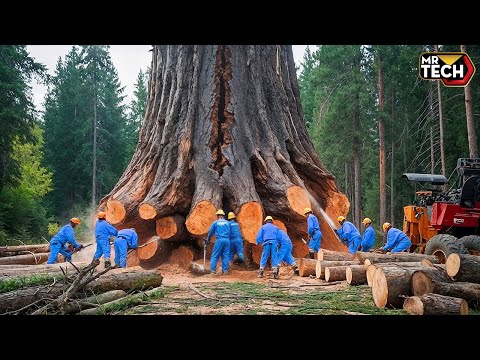 Extreme Dangerous Fastest Big Chainsaw Cutting Tree Machines | Monster Stump Removal Excavator #48