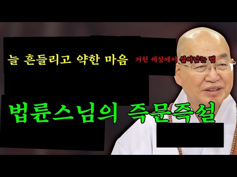 290. 늘 흔들리고 약한 마음, 거친 세상에서 살아남기│'법륜스님' 편🙏 [명법문만 모았다! 명중명💡] #법륜스님 #인생 #즉문즉설