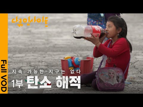 친환경 기업, 탄소 해적에게 삶의 터전을 빼앗긴 원주민들. 전세계 탄소 중립의 이면 | KBS 다큐인사이트 - 지속 가능한 지구는 없다 1부. 탄소 해적 24.01.11 방송