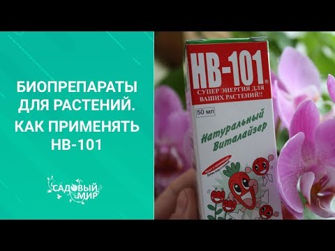 Активатор жизни растений HB-101. Как правильно применять этот биопрепарат.