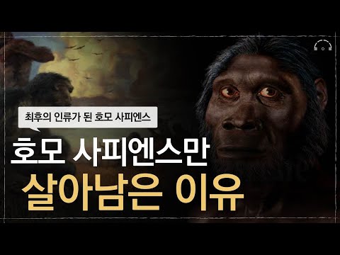 [수면다큐] 최후의 인류가 된 호모 사피엔스의 비밀 | 잠잘때 듣는 고인류사 | 찬란한 멸종 | 오디오북