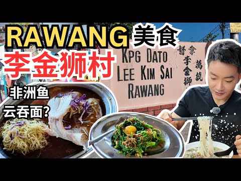 [万挠拿督李金狮村～美食] 一口气吃五顿早餐！非洲鱼云吞面?? 狗仔鸭，猪肉粉，焖板面，咖喱面，肥鸡卤味！Delicious Food in Rawang! Tilapia Wantan Mee!