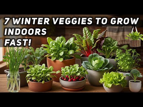 ✅ No Garden Needed! Grow These 7 Winter Veggies Indoors for Fresh Food Fast