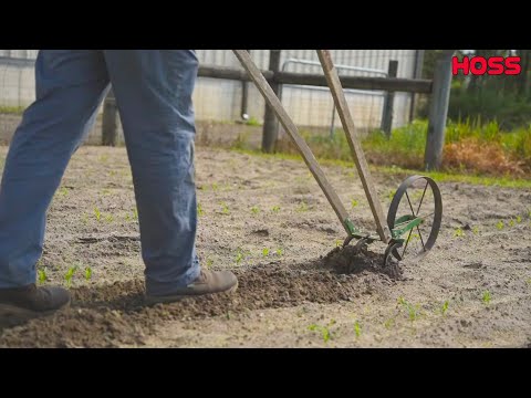 Easiest Way To Weed Your Garden