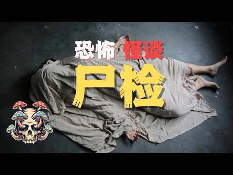 膽小勿入！一個離奇的《屍檢》故事，結尾讓你出乎意料