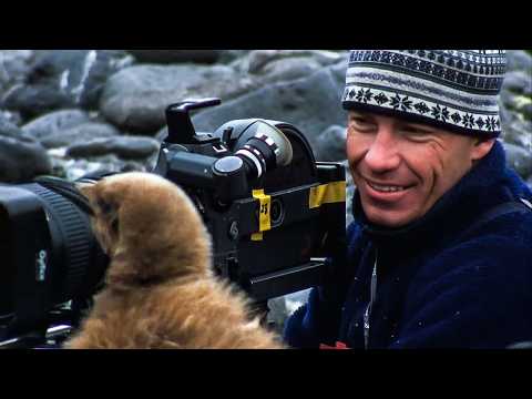 Wildest beasts on Earth: Killer Whale | Documentary