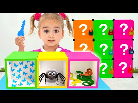 Aventuras das Caixas Misteriosas com Alice