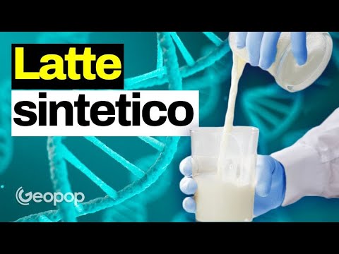 Il latte "sintetico" arriva in Israele, cos'è e cosa cambia rispetto alla carne coltivata