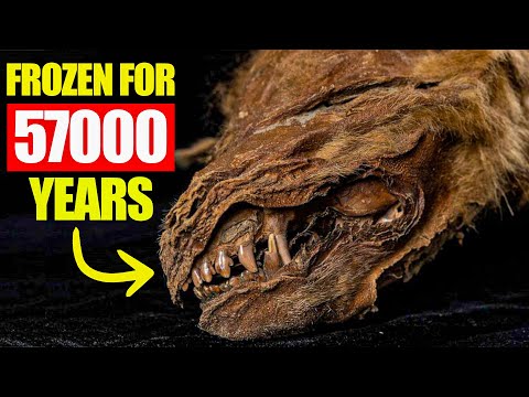 10 Mysterious Creatures Found Under Ice