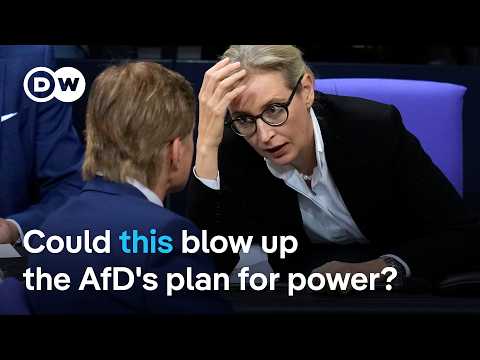 The dilemma that could test the AfD's rising popularity | DW News