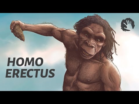 Homo Erectus - The First Humans