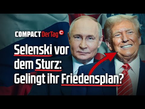 Zelenskyy on the brink of collapse: Will her peace plan succeed?💥