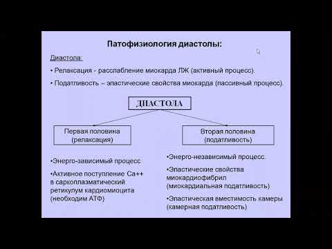 УЗД диастоличнской дисфункции ЛЖ Моргунов М Н